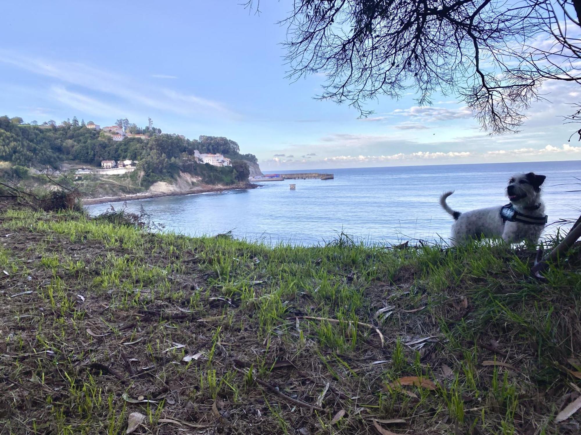 Respirando Salitre Apartamento En Lastres Buitenkant foto